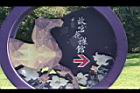 樟樹76.JPG