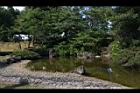1文山農場35.JPG