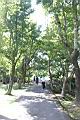 1文山農場46.JPG
