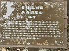 共存的理由00.JPG