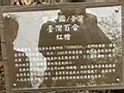 台灣百合00.JPG