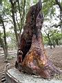 攀岩01.JPG