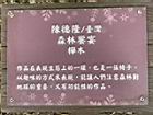 森林饗宴00.JPG