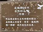 自然的反哺00.JPG