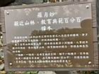 親近森林00.JPG