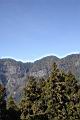 阿里山04.JPG