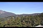 阿里山10.JPG
