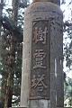 阿里山103.JPG