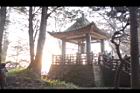 阿里山123.JPG