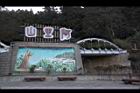 阿里山147.JPG