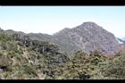 阿里山218.JPG