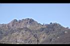 阿里山30.JPG