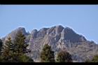阿里山33.JPG