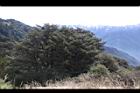 1050329合歡山028.JPG