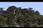 1050329合歡山031.JPG