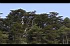 1050329合歡山032.JPG