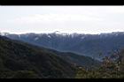 1050329合歡山038.JPG