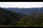 1050329合歡山039.JPG