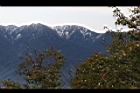 1050329合歡山041.JPG