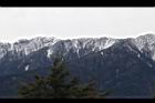1050329合歡山067.JPG