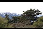1050329合歡山088.JPG