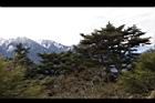 1050329合歡山090.JPG