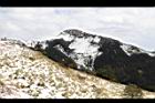 1050329合歡山116.JPG