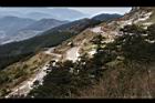 1050329合歡山150.JPG
