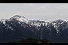 1050329合歡山186.JPG