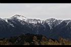1050329合歡山187.JPG