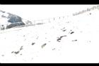 1050329合歡山207.JPG