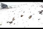 1050329合歡山210.JPG