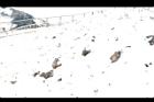 1050329合歡山211.JPG