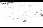 1050329合歡山214.JPG