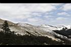 1050329合歡山223.JPG