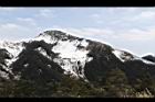 1050329合歡山234.JPG