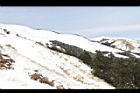 1050329合歡山331.JPG