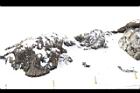 1050329合歡山339.JPG