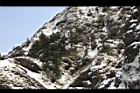 1050329合歡山365.JPG
