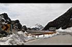 1050329合歡山410.JPG