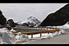 1050329合歡山411.JPG