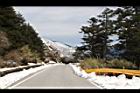 1050329合歡山436.JPG