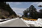 1050329合歡山439.JPG