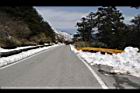 1050329合歡山440.JPG