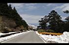 1050329合歡山441.JPG