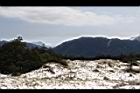 1050329合歡山445.JPG