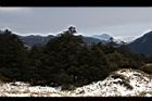 1050329合歡山452.JPG