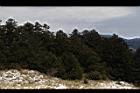 1050329合歡山453.JPG
