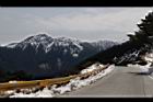 1050329合歡山472.JPG