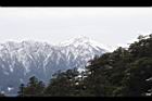 1050329合歡山473.JPG